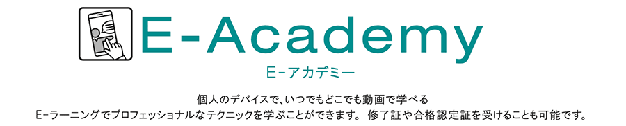 E-Academy